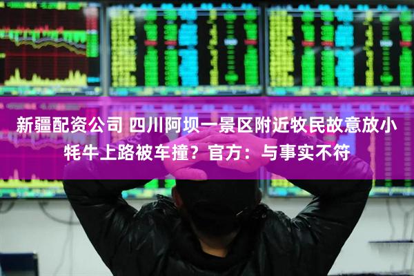 新疆配资公司 四川阿坝一景区附近牧民故意放小牦牛上路被车撞？官方：与事实不符