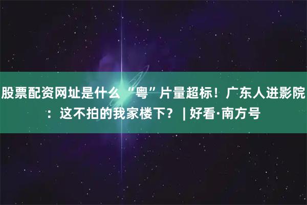 股票配资网址是什么 “粤”片量超标！广东人进影院：这不拍的我家楼下？ | 好看·南方号